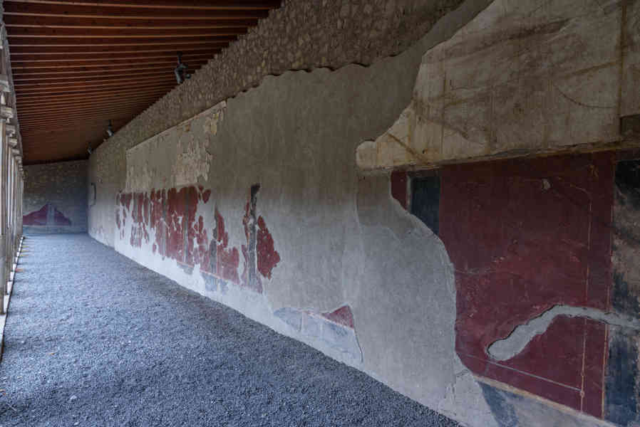 340 - Italia - Torre Annunziata - Villa Oplontis o Villa Poppea - Viridarium 2.jpg